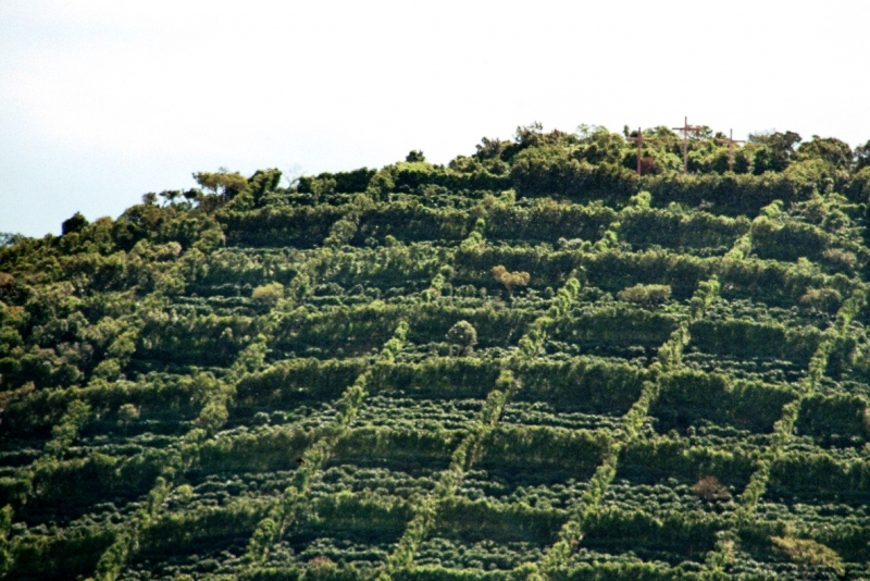 El Salvador (10)