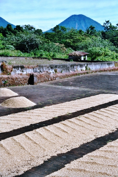 El Salvador (16)