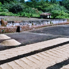 El Salvador (16)