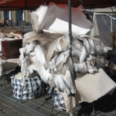 Finland - Helsinki (6)