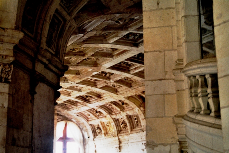 France - Loire (4)