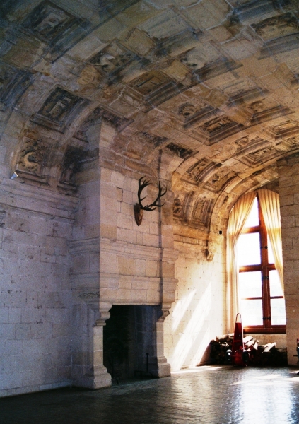 France - Loire (5)