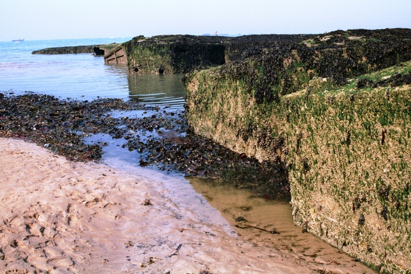 France - Normandie (2)