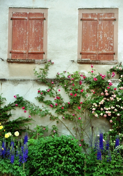 France - Normandie (24)