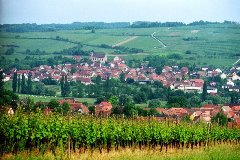France - Normandie (34)