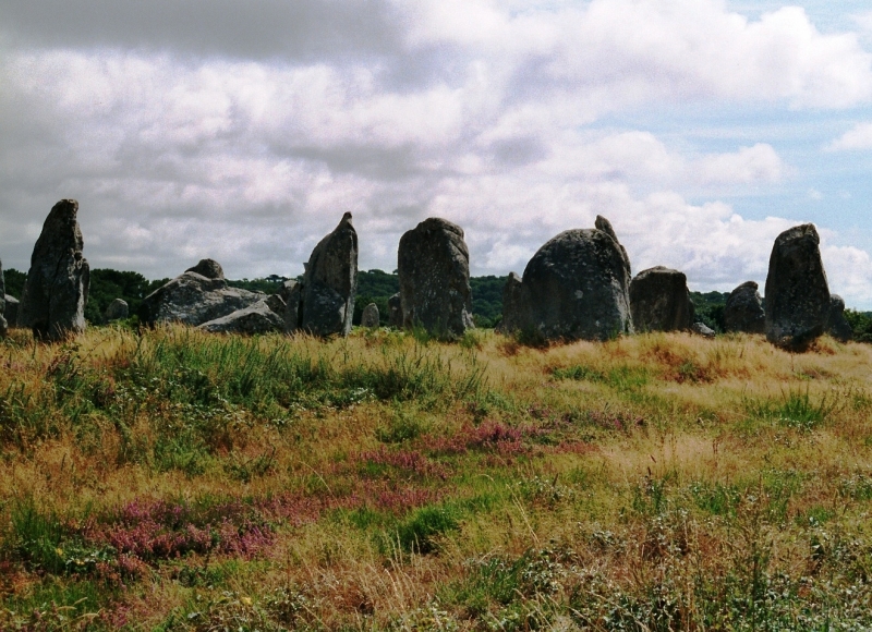France - Several (1)