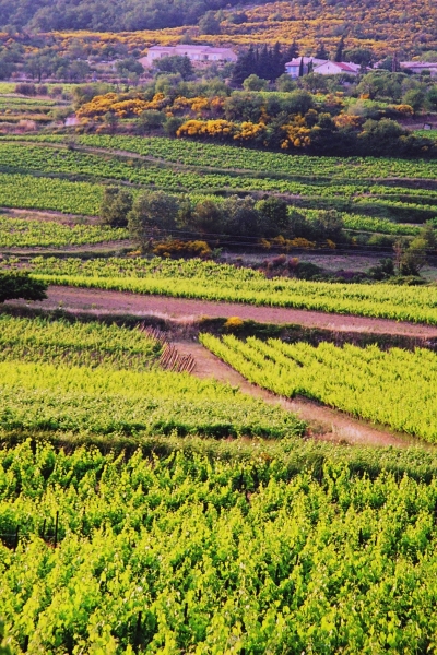 France - Several (10)