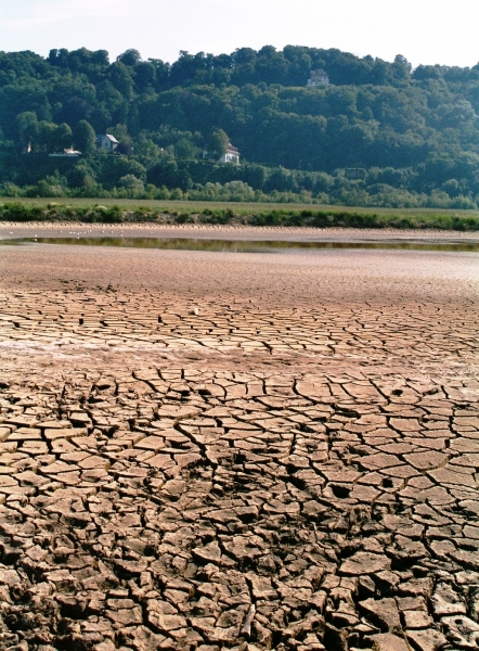 France - Several (3)