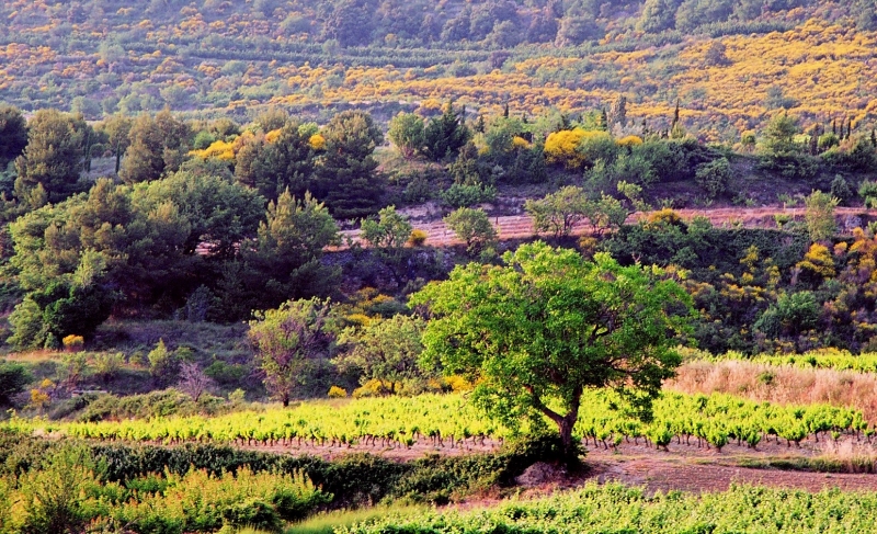 France - Several (7)