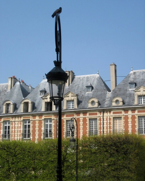 France - a Paris (6)