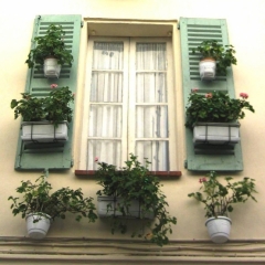 France - Cote d'Azur (0a) (10)