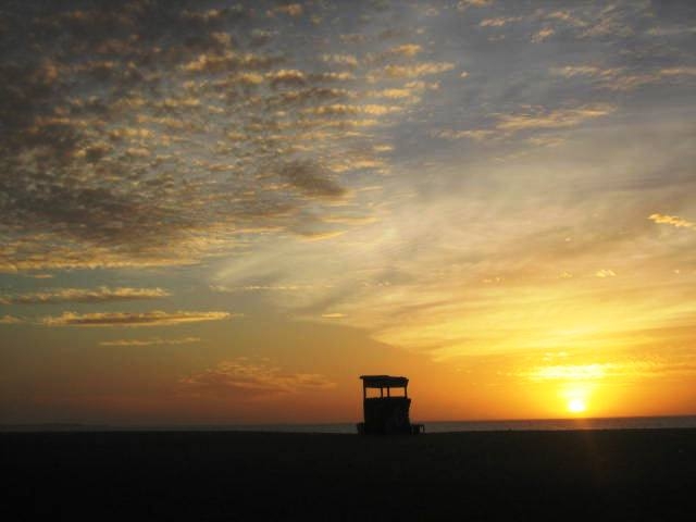 Gambia (13)