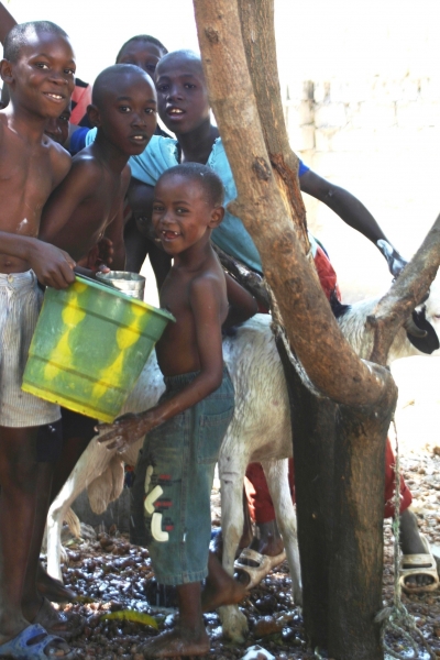 Gambia (31)