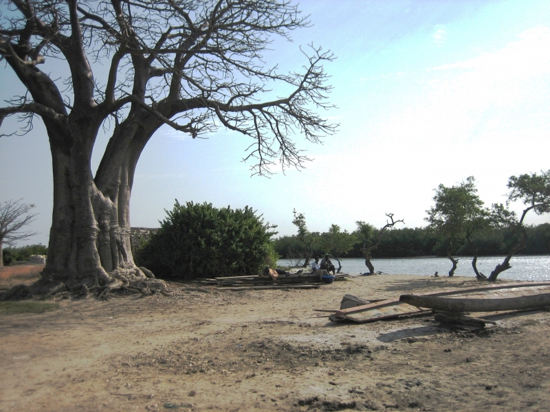 Gambia (9)