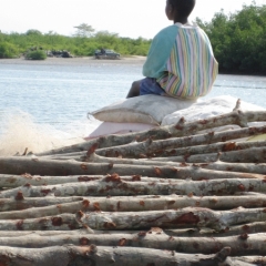 Gambia (2)