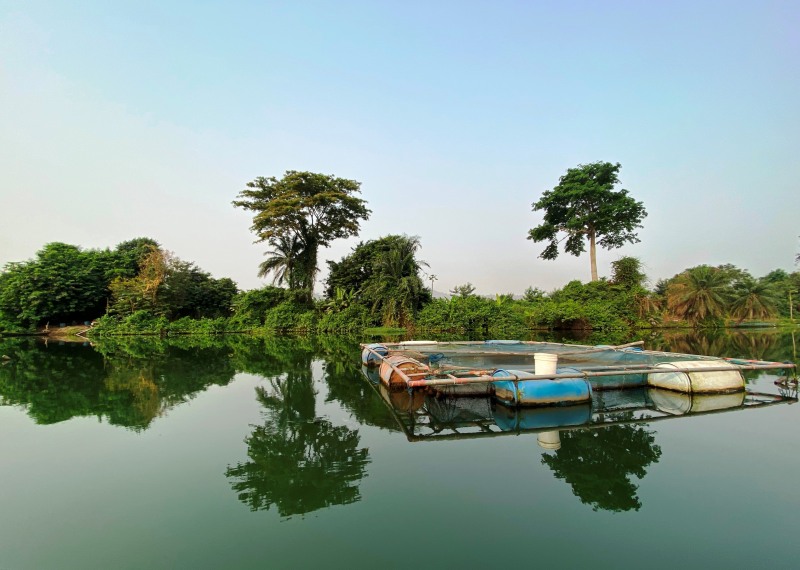 Ghana-131
