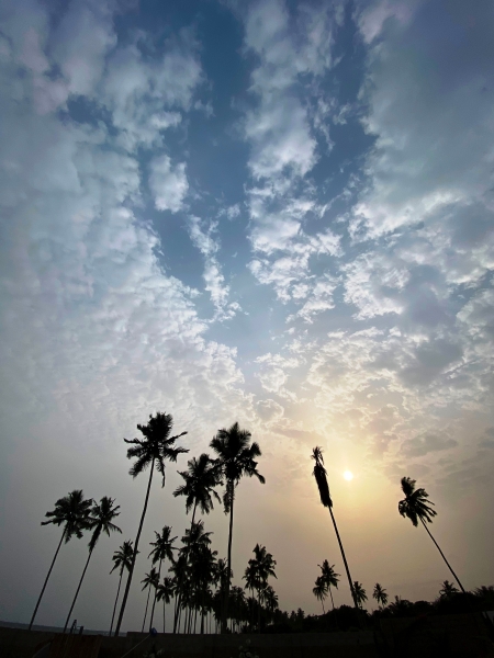 Ghana-29