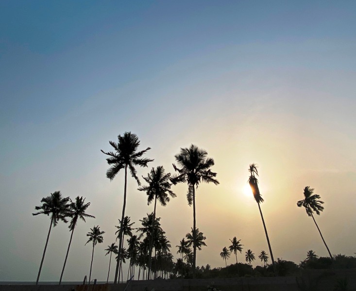 Ghana-33
