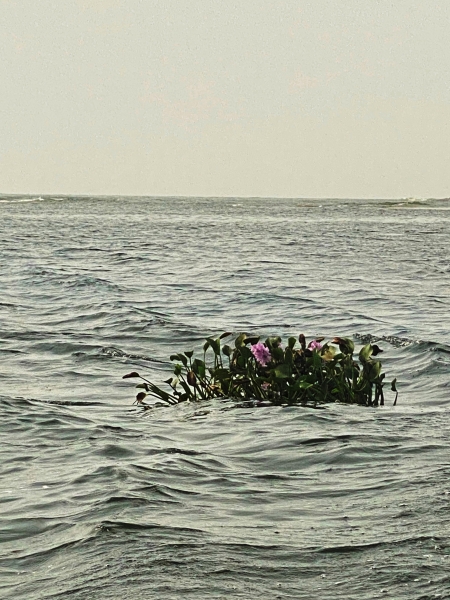 Ghana-353
