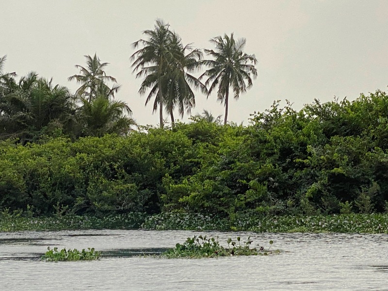 Ghana-483