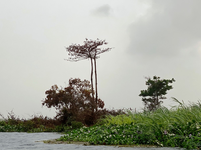 Ghana-488