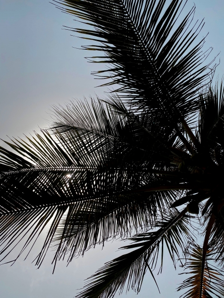 Ghana-53