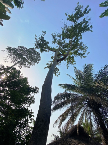 Ghana-60