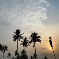 Ghana-30