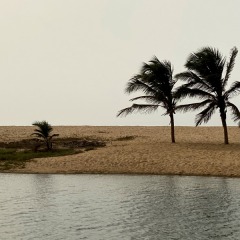 Ghana-453