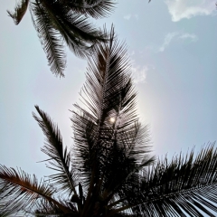Ghana-49