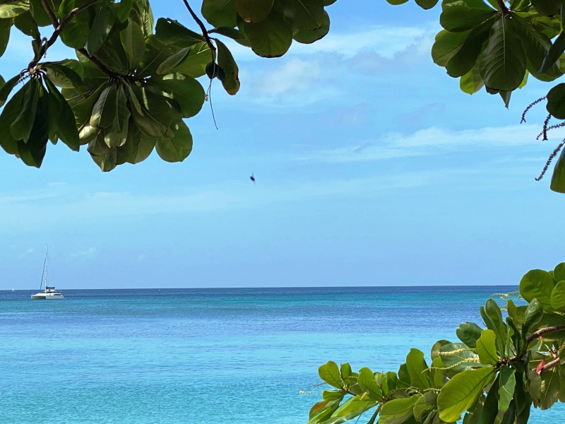 Grenada-16