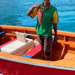 Grenada-25