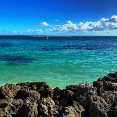 Guadeloupe-46