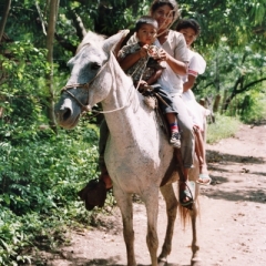 Honduras (38)