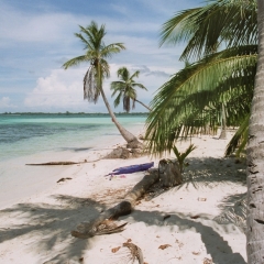 Honduras (4)