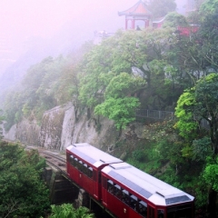Hong Kong (14)