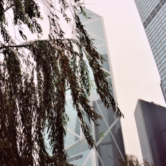Hong Kong (9)
