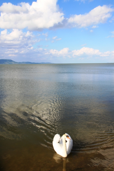 Hongarije (9)