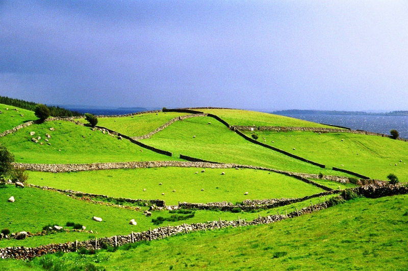 Ierland (1)
