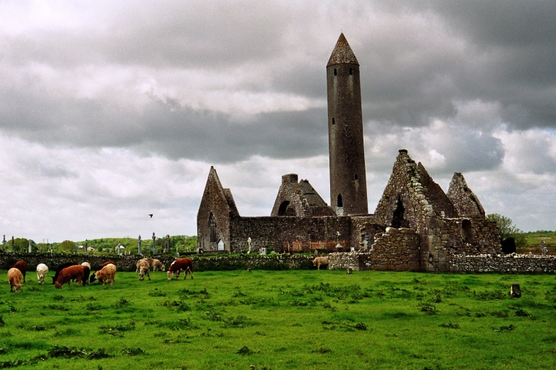 Ierland (19)