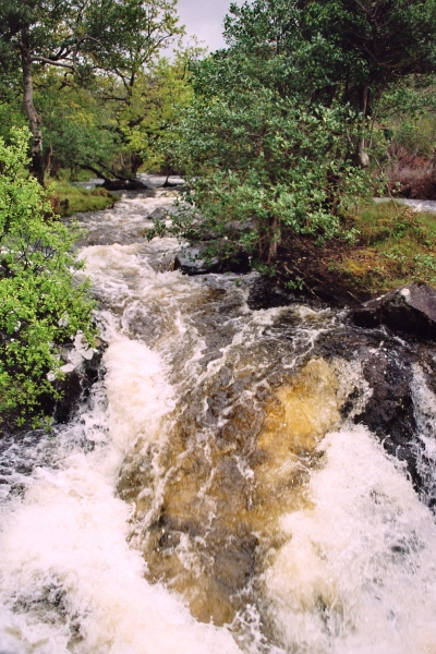 Ierland (7)
