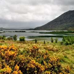 Ierland (2)