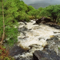 Ierland (6)