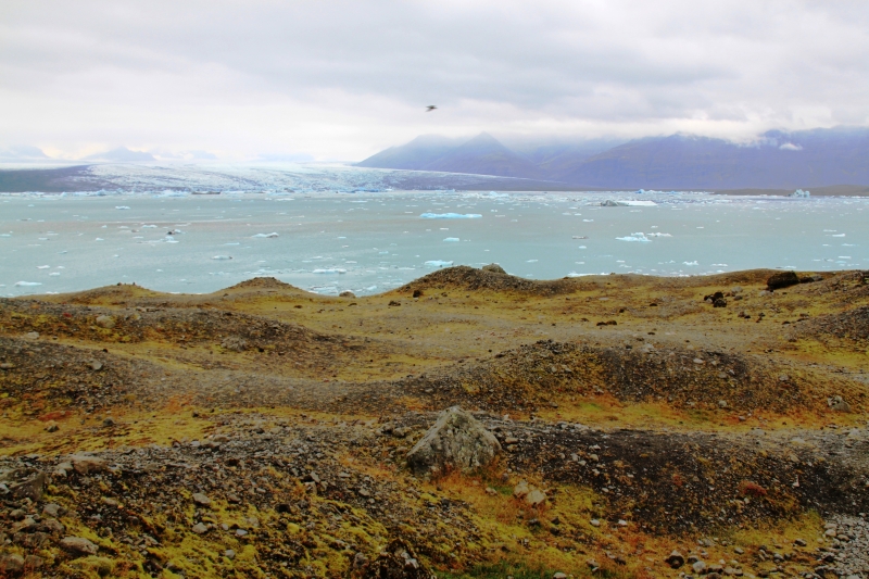 IJsland (225)