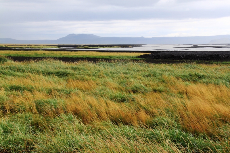 IJsland (252)