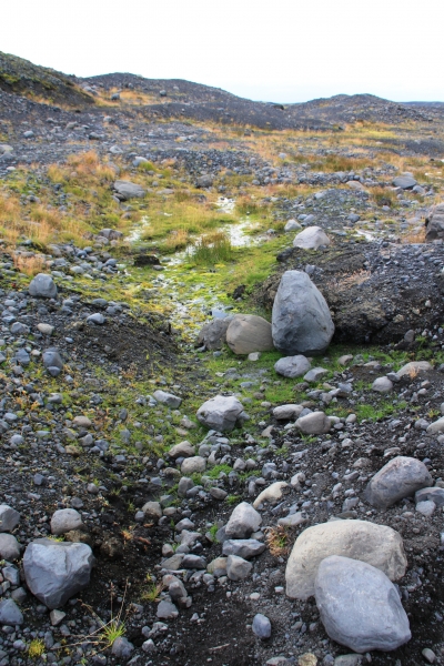 IJsland (303)
