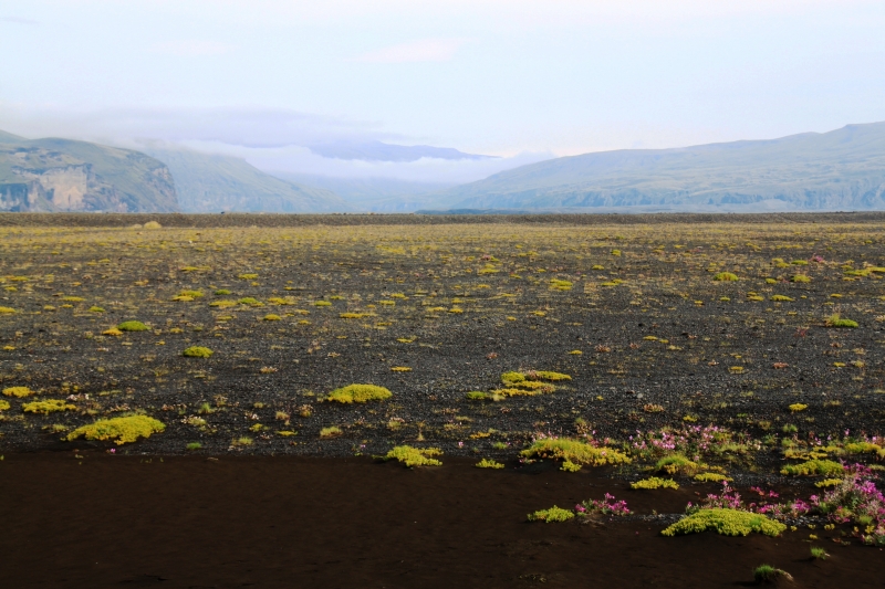 IJsland (341)