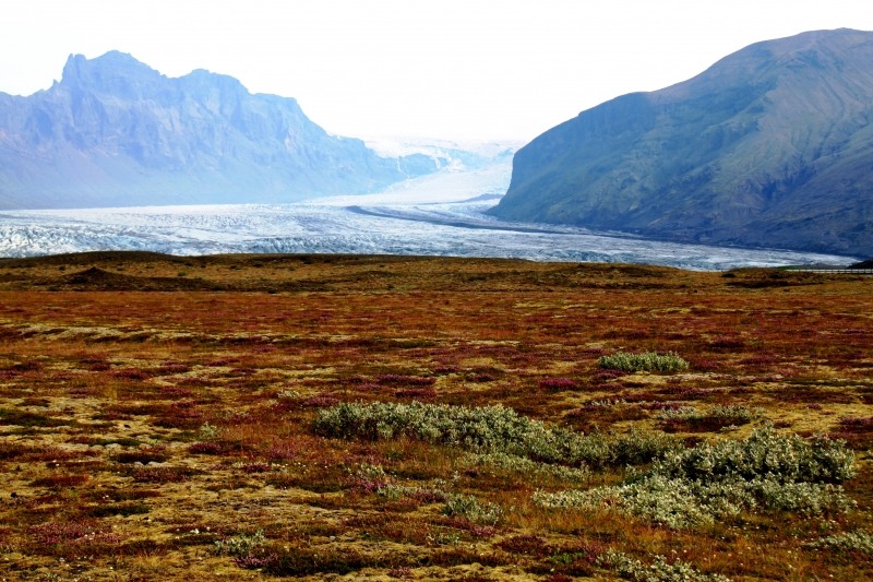 IJsland (369)