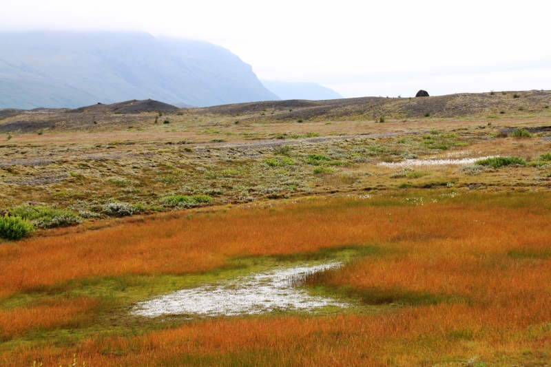 IJsland (388)