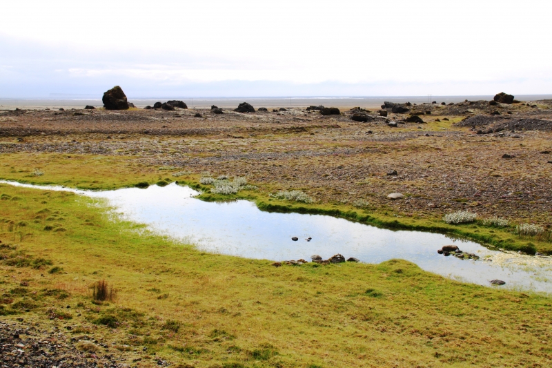 IJsland (393)